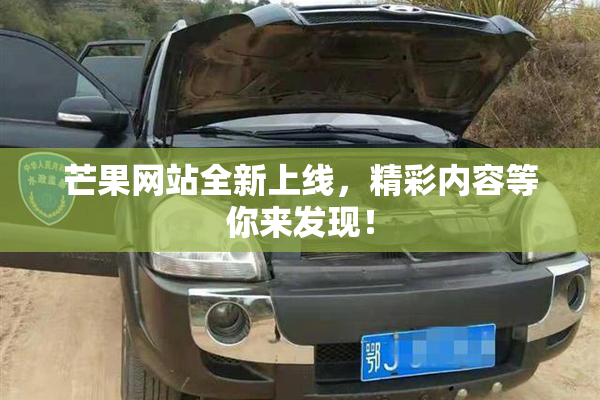 芒果网站全新上线，精彩内容等你来发现！