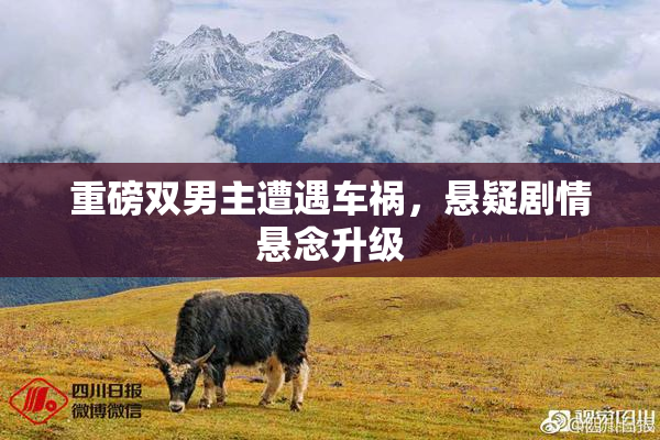 重磅双男主遭遇车祸，悬疑剧情悬念升级