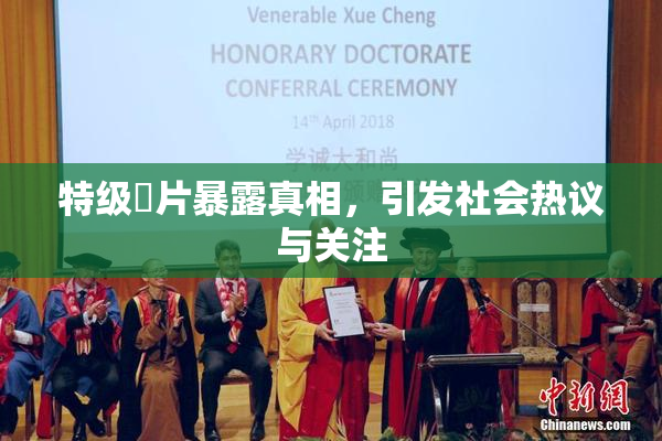特级婬片暴露真相，引发社会热议与关注