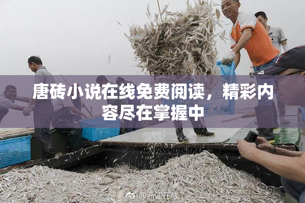 唐砖小说在线免费阅读，精彩内容尽在掌握中