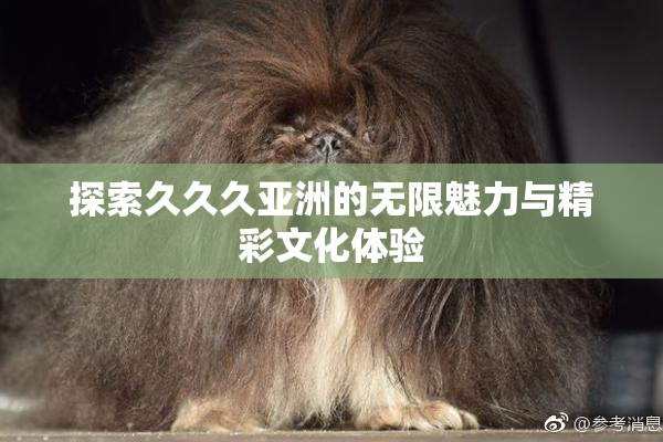 探索久久久亚洲的无限魅力与精彩文化体验