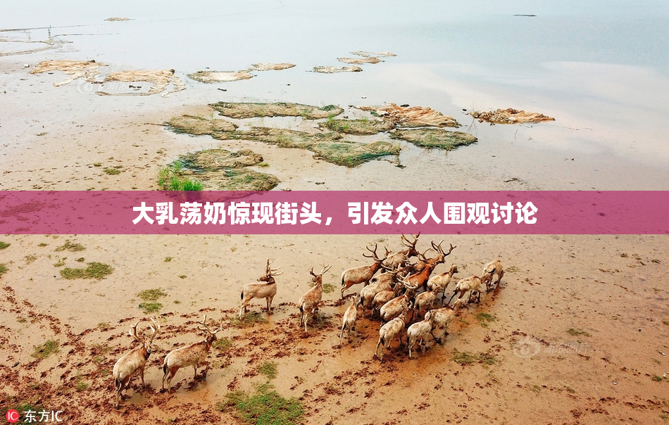 大乳荡奶惊现街头，引发众人围观讨论