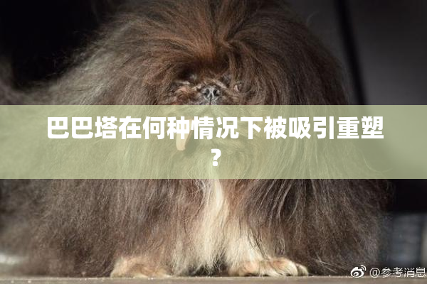 巴巴塔在何种情况下被吸引重塑？