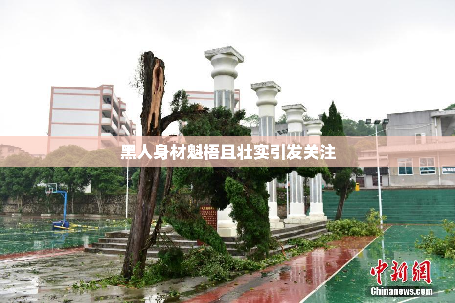 黑人身材魁梧且壮实引发关注