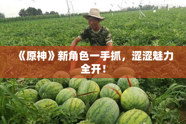 《原神》新角色一手抓，涩涩魅力全开！