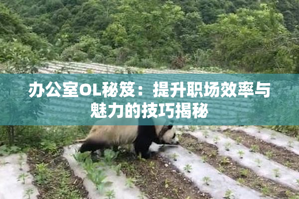 办公室OL秘笈：提升职场效率与魅力的技巧揭秘