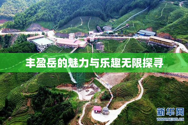 丰盈岳的魅力与乐趣无限探寻
