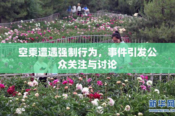 空乘遭遇强制行为，事件引发公众关注与讨论