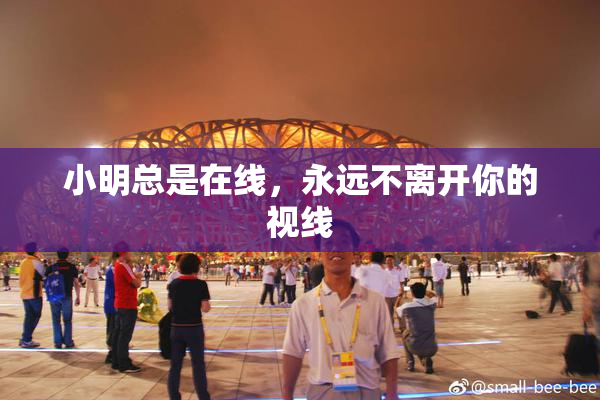 小明总是在线，永远不离开你的视线