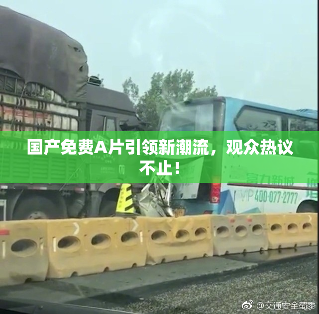 国产免费A片引领新潮流，观众热议不止！