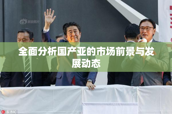 全面分析国产亚的市场前景与发展动态