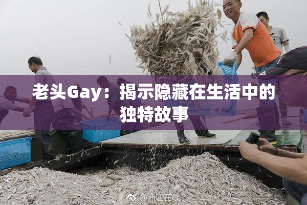 老头Gay：揭示隐藏在生活中的独特故事