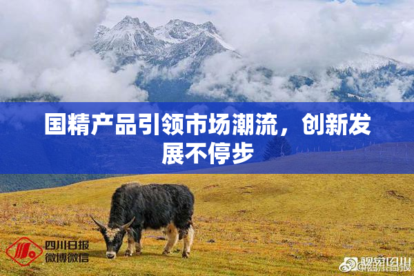 国精产品引领市场潮流，创新发展不停步