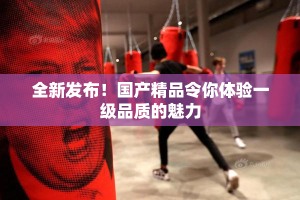 全新发布！国产精品令你体验一级品质的魅力