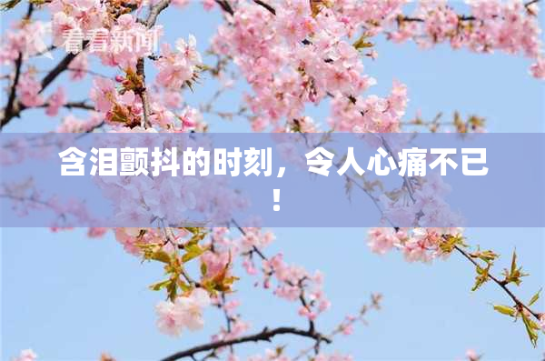 含泪颤抖的时刻，令人心痛不已！