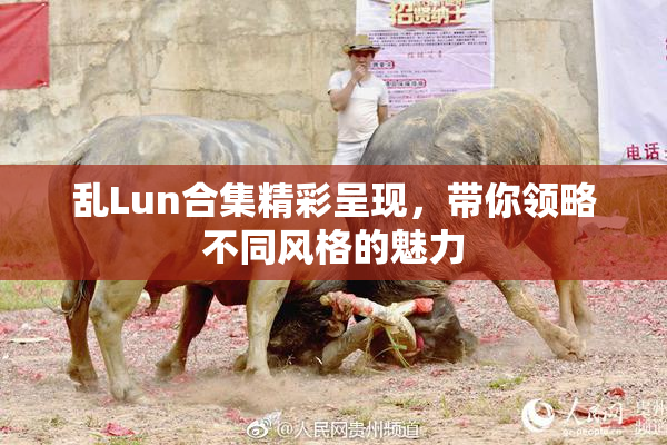 乱Lun合集精彩呈现，带你领略不同风格的魅力