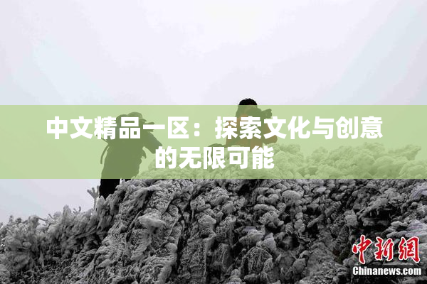 中文精品一区：探索文化与创意的无限可能