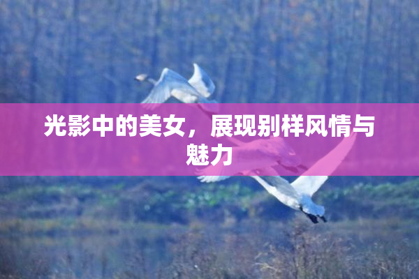 光影中的美女，展现别样风情与魅力