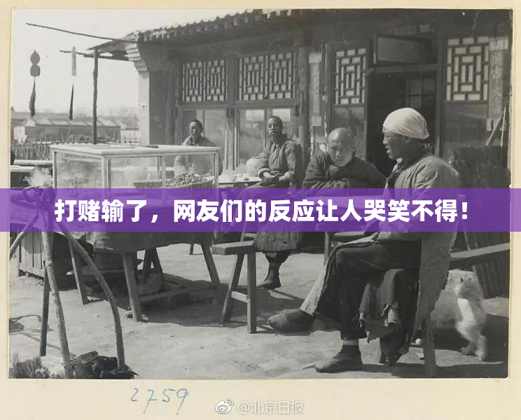 打赌输了，网友们的反应让人哭笑不得！