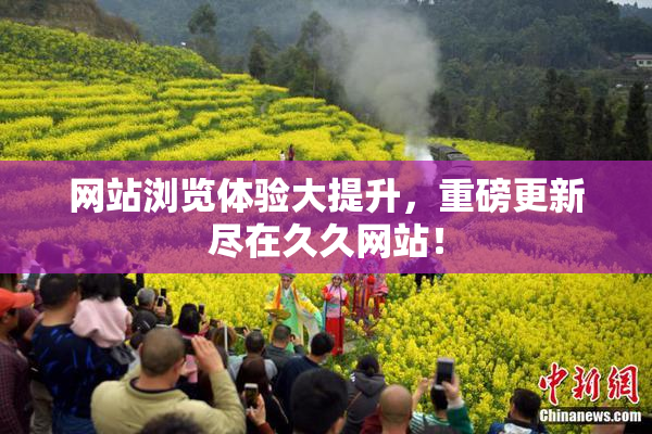 网站浏览体验大提升，重磅更新尽在久久网站！