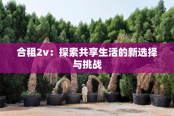 合租2v：探索共享生活的新选择与挑战