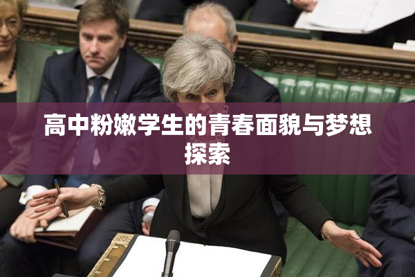 高中粉嫩学生的青春面貌与梦想探索