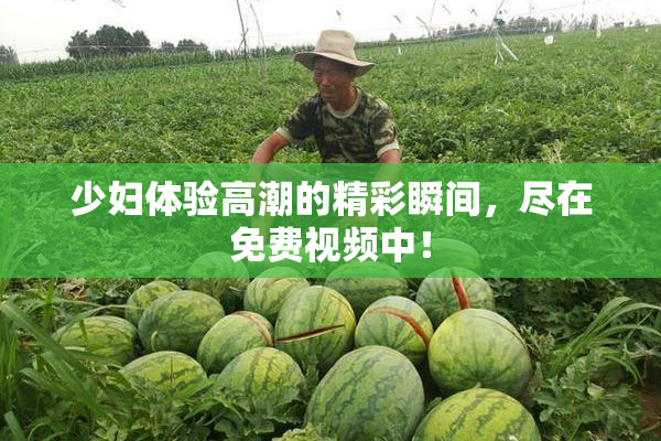 少妇体验高潮的精彩瞬间，尽在免费视频中！