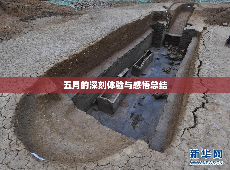 五月的深刻体验与感悟总结