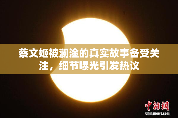 蔡文姬被澜淦的真实故事备受关注，细节曝光引发热议