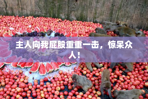 主人向我屁股重重一击，惊呆众人！
