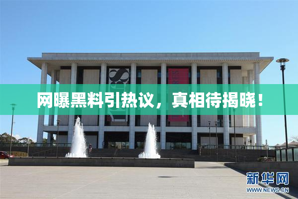 网曝黑料引热议，真相待揭晓！