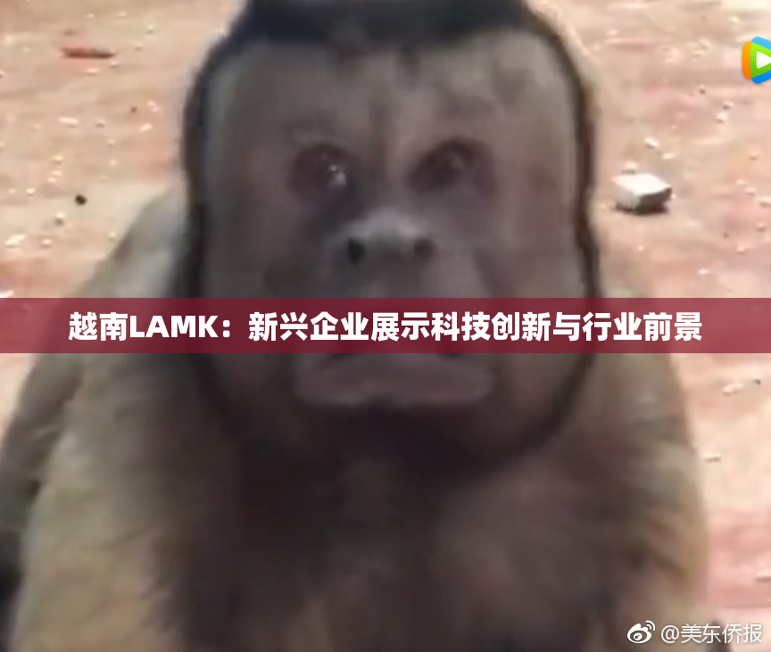 越南LAMK：新兴企业展示科技创新与行业前景