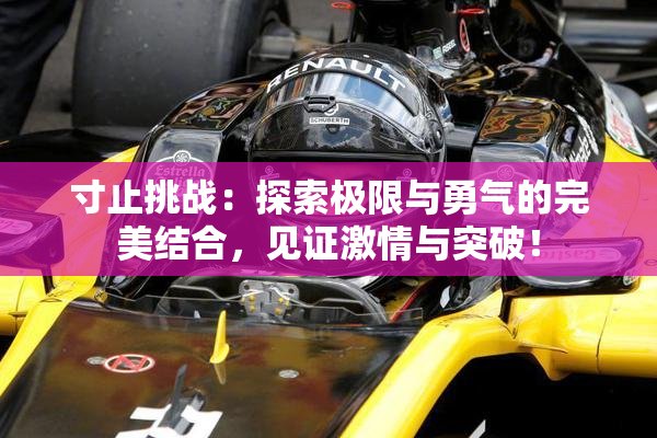 寸止挑战：探索极限与勇气的完美结合，见证激情与突破！