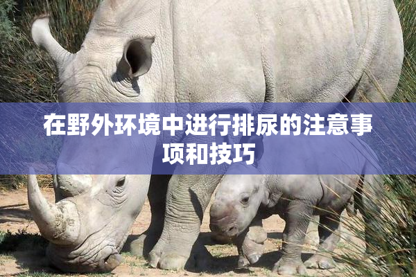 在野外环境中进行排尿的注意事项和技巧