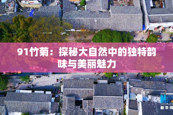 91竹菊：探秘大自然中的独特韵味与美丽魅力