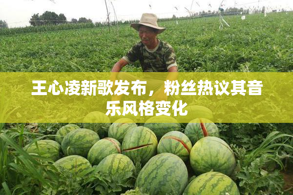 王心凌新歌发布，粉丝热议其音乐风格变化