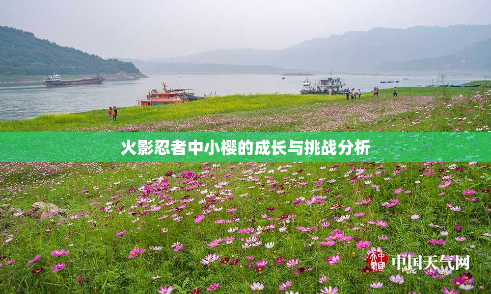 火影忍者中小樱的成长与挑战分析