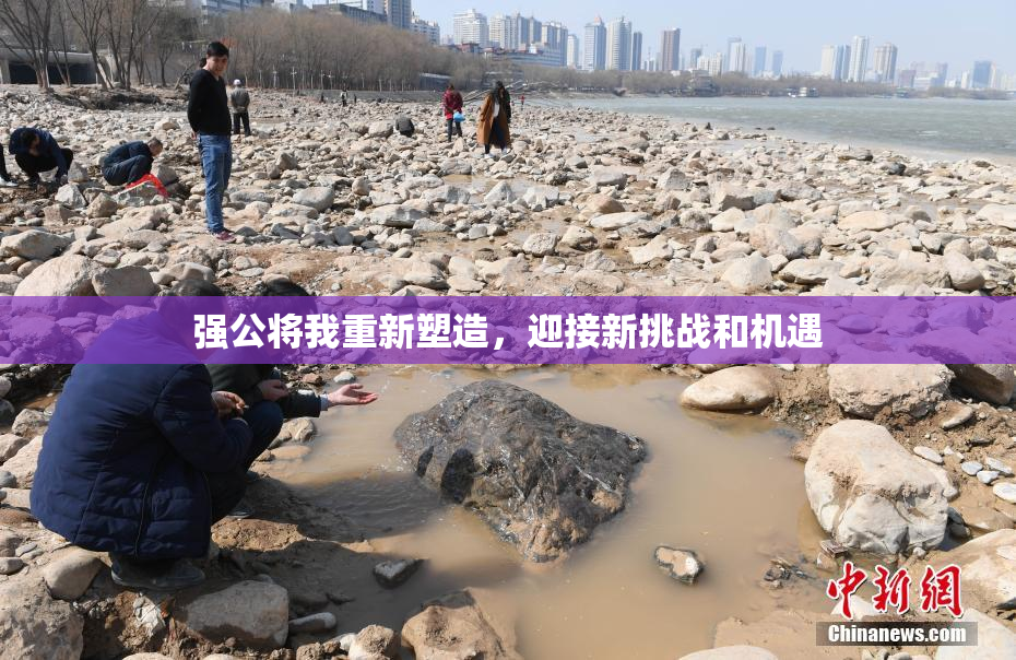 强公将我重新塑造，迎接新挑战和机遇