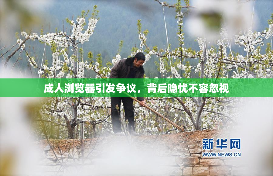 成人浏览器引发争议，背后隐忧不容忽视