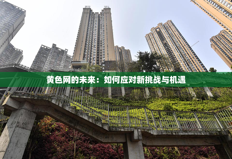 黄色网的未来：如何应对新挑战与机遇