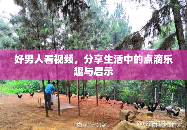 好男人看视频，分享生活中的点滴乐趣与启示