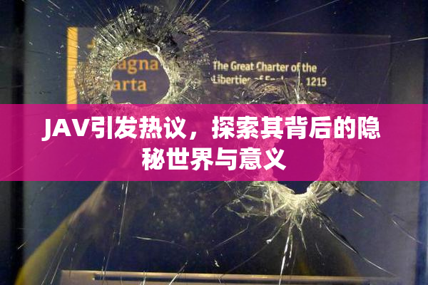 JAV引发热议，探索其背后的隐秘世界与意义