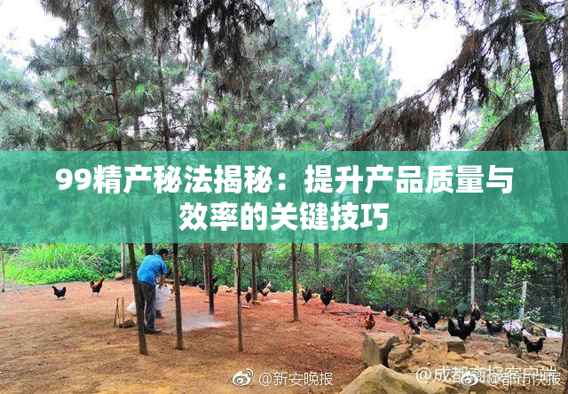 99精产秘法揭秘：提升产品质量与效率的关键技巧