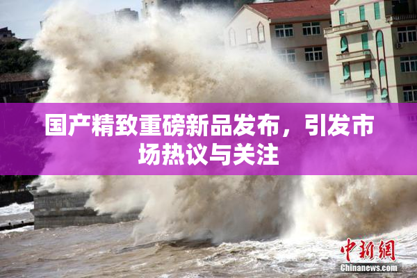 国产精致重磅新品发布，引发市场热议与关注