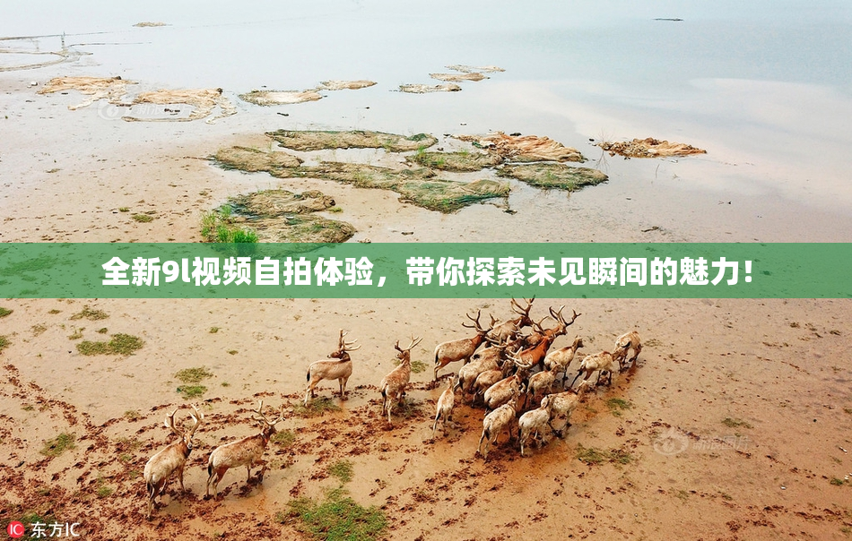 全新9l视频自拍体验，带你探索未见瞬间的魅力！