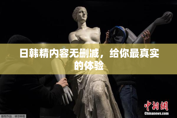 日韩精内容无删减，给你最真实的体验