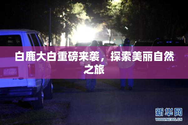白鹿大白重磅来袭，探索美丽自然之旅