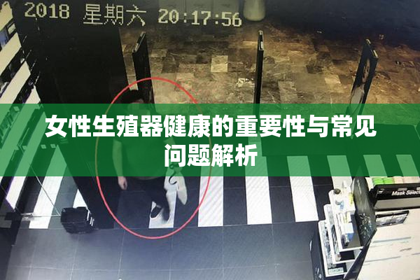 女性生殖器健康的重要性与常见问题解析