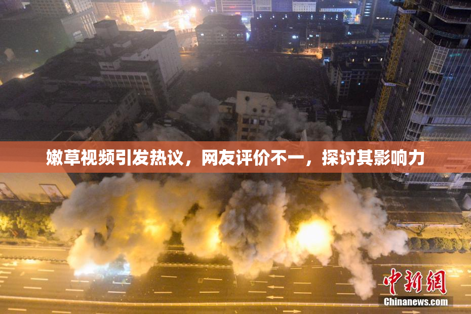 嫩草视频引发热议，网友评价不一，探讨其影响力