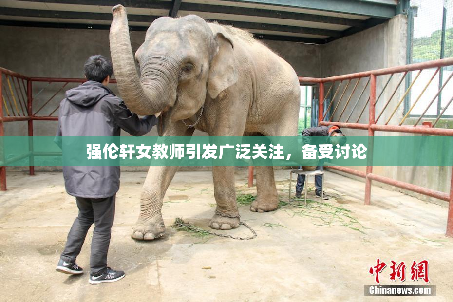 强伦轩女教师引发广泛关注，备受讨论